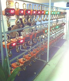 海南電子吊秤與鉤頭秤 高精度稱重解決方案，廠家直銷更省心